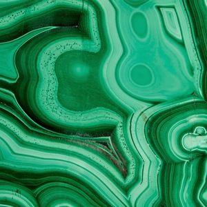 Meet your Posher, Janelle